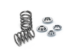 BMW N54 Conical spring kit SPR-FE20-BE(24) - 75lbs @ 36.5mm